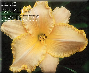 Glory of Heaven AHS image