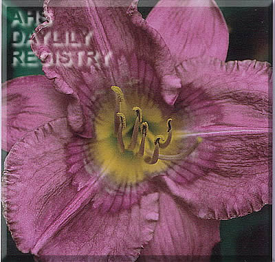 Courage to Change AHS image