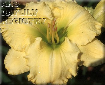 Roger DeLongchamp AHS image