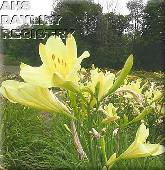 Easter Monday AHS image