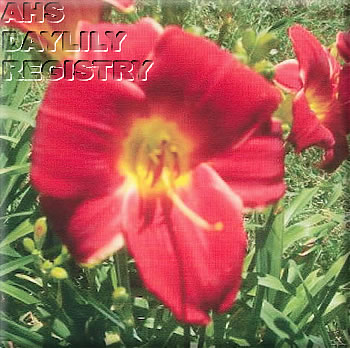 Red Peach AHS image