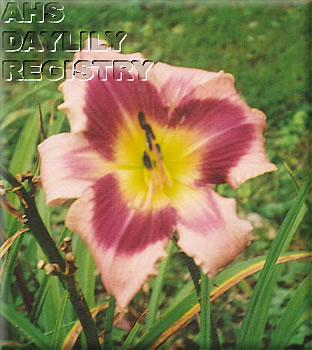Prom Flower AHS image