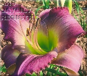 Doris Kearns Viel AHS image