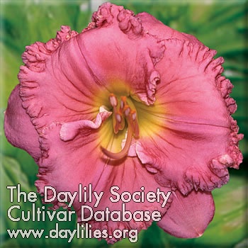 Daddy's Little Girl AHS image