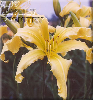 Hello Mrs Robinson AHS image