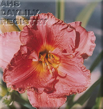 Lech AHS image