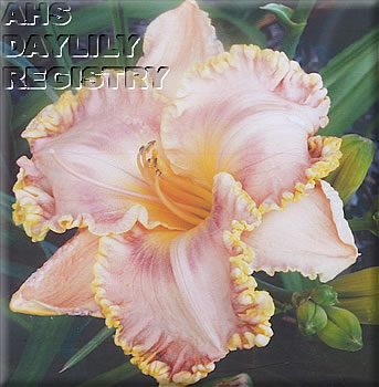 Carol Marie Fulton AHS image