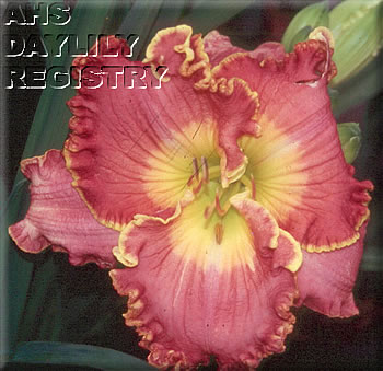 Harmony Wonder AHS image