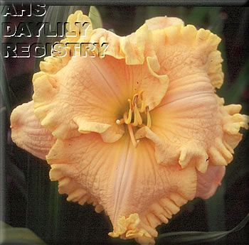 Helen Bessinger AHS image