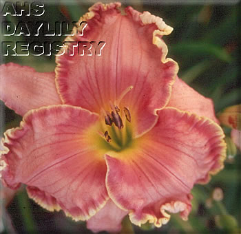 Gerri Gale AHS image