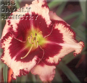 Edythe's Surprise AHS image