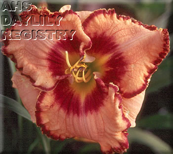 Peach Wine AHS image