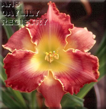 Listen Missy AHS image