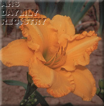 Missouri Gold AHS image