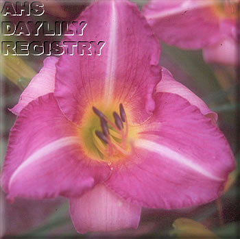 Sagamore Evan Dooley AHS image