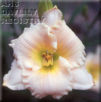 Sagamore Jason Eklund AHS image