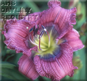Patch of Blue AHS image