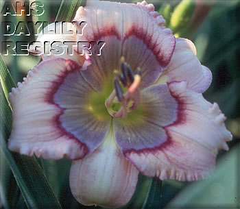 Southern Blues AHS image
