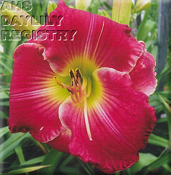Civil Union AHS image