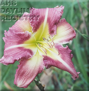 Green Star Light AHS image