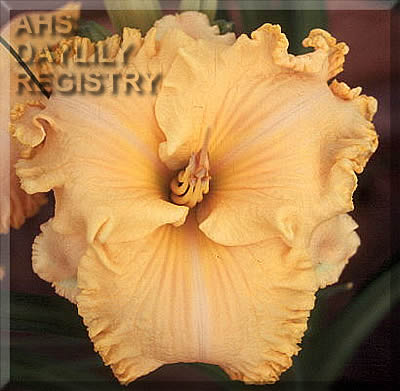 Mary Dale AHS image