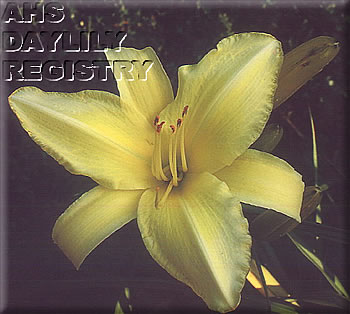 Minnesota Sunshine AHS image