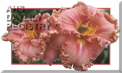 Elusive Charm AHS image