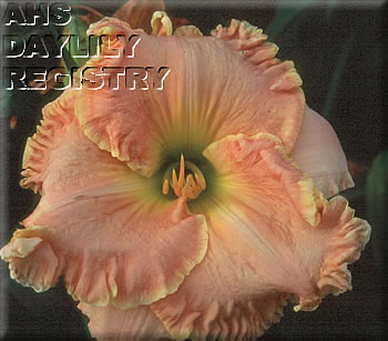 Pat Henry AHS image