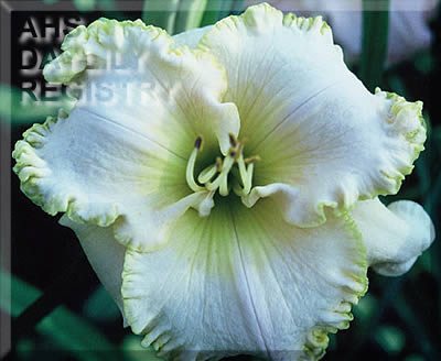 Glacier Frost AHS image