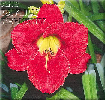 Jacqueline Sue AHS image
