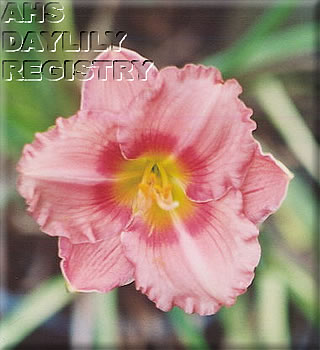 Little Miss Trinkett AHS image