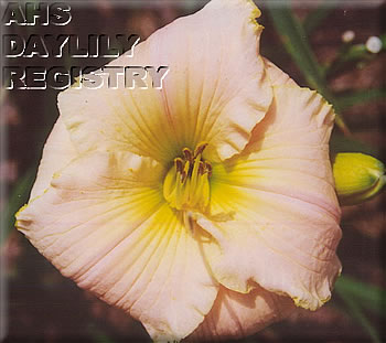 June Lynette AHS image