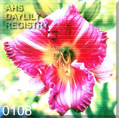 Kapitan F. Merten AHS image