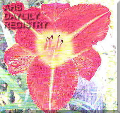Residenzstadt Memel AHS image