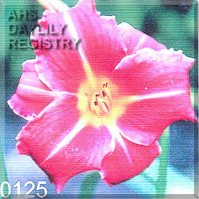 Potrimpos AHS image