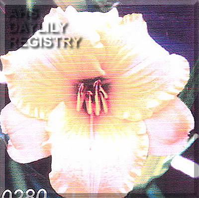 Konigin Luise AHS image