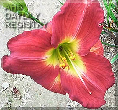 Slate Floyd AHS image