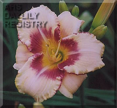 Mission Claire AHS image