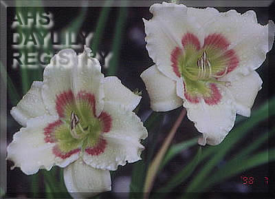 Dale Bacon Memorial AHS image