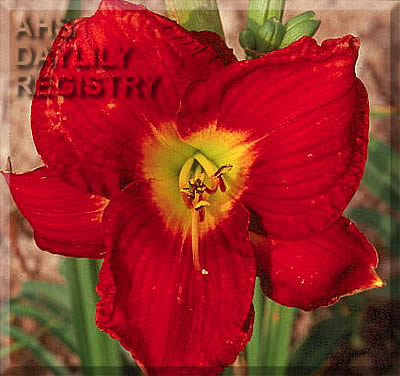 June Teenth AHS image