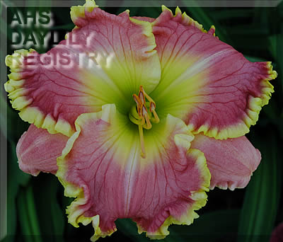 Elegant Universe AHS image