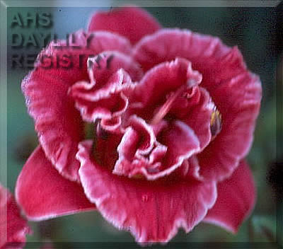 Little Maiden AHS image