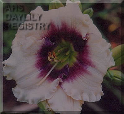 Destiny Debut AHS image