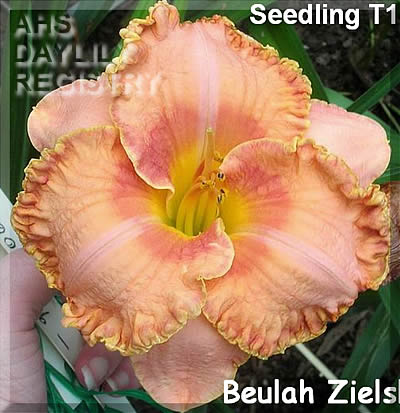 Beulah Zielske