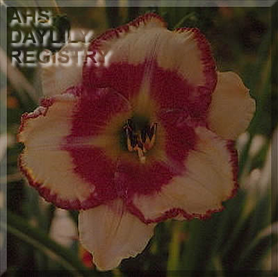 Camphouse Belle AHS image