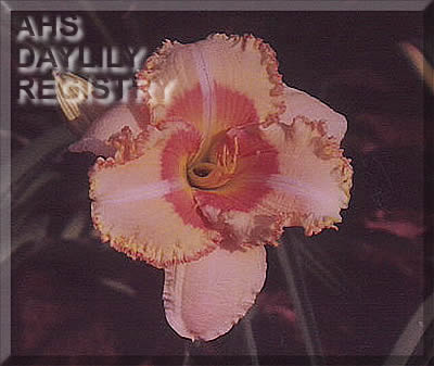 Only Thrill AHS image