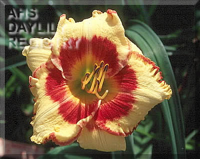 Suburban Evelyn Jane AHS image