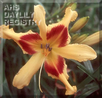 Jon C Pope AHS image