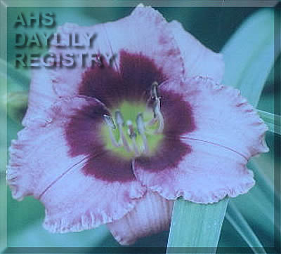 Duggy AHS image