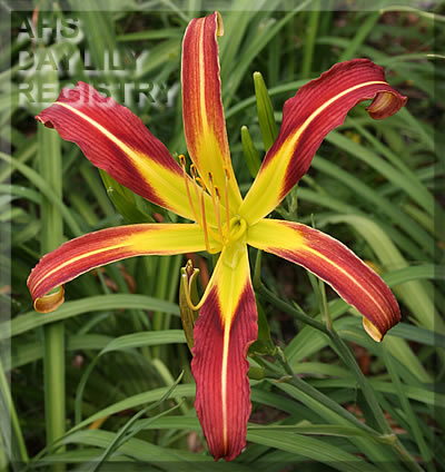 Devil's Spindle